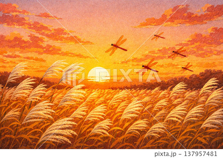 夕焼け ススキ 赤とんぼ 秋イメージ 貼り絵風 夕焼け ススキ 赤とんぼ 秋イメージ 貼り絵風 137957481