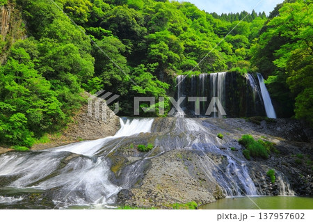 新緑の龍門の滝(大分県九重町) 新緑の龍門の滝(大分県九重町) 137957602