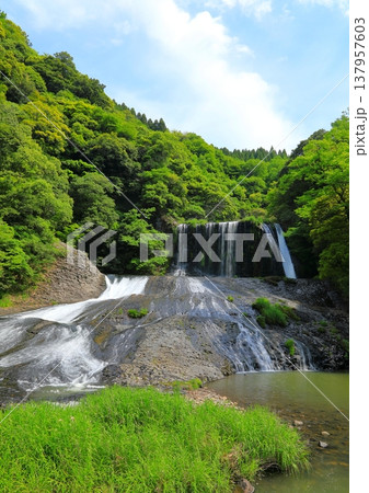 新緑の龍門の滝（大分県九重町・縦構図） 137957603
