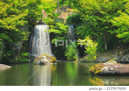 新緑の溪石園（中津市） 137957609