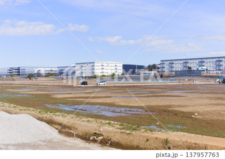 千葉県流山市常磐自動車道周辺2026年3月 千葉県流山市常磐自動車道周辺2026年3月 137957763