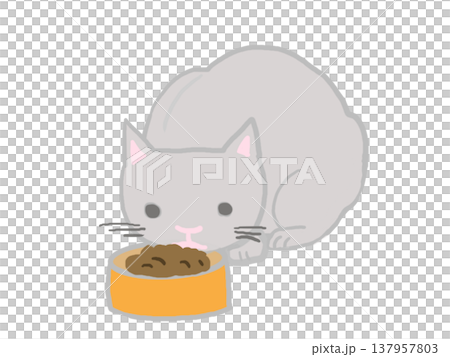 White cat eating food White cat eating food 137957803