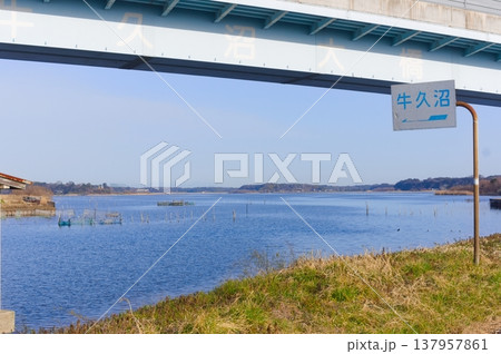 茨城県つくば市牛久沼外周の風景2026年3月 137957861