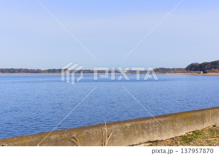 茨城県つくば市牛久沼外周の風景2026年3月 137957870