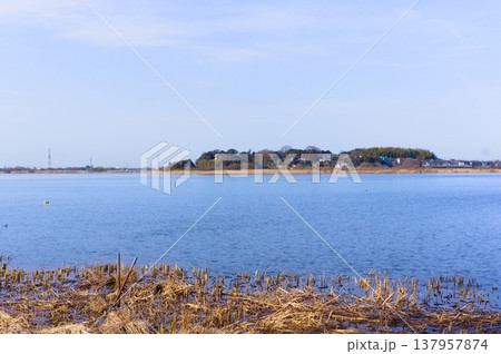 茨城県つくば市牛久沼外周の風景2026年3月 137957874