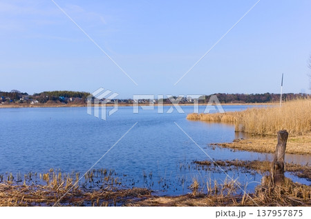 茨城県つくば市牛久沼外周の風景2026年3月 茨城県つくば市牛久沼外周の風景2026年3月 137957875