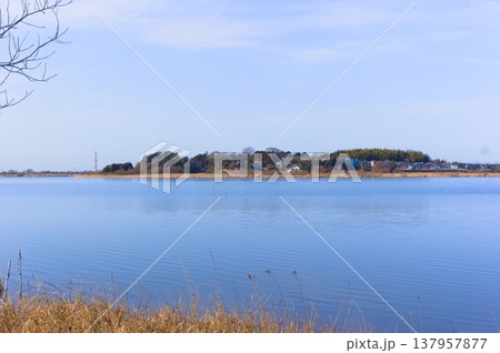 茨城県つくば市牛久沼外周の風景2026年3月 茨城県つくば市牛久沼外周の風景2026年3月 137957877