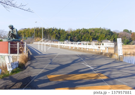 茨城県つくば市牛久沼外周の風景2026年3月 137957881