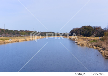 茨城県つくば市牛久沼外周の風景2026年3月 137957882