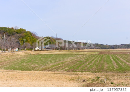 茨城県つくば市牛久沼外周の風景2026年3月 茨城県つくば市牛久沼外周の風景2026年3月 137957885