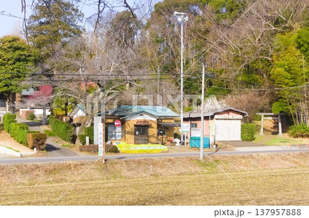 茨城県つくば市牛久沼外周の風景2026年3月 137957888