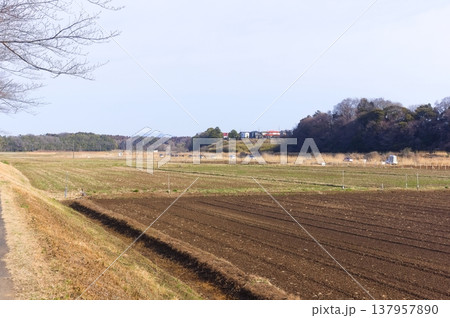茨城県つくば市牛久沼外周の風景2026年3月 137957890