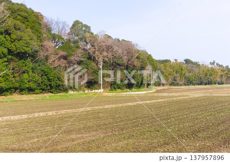 茨城県つくば市牛久沼外周の風景2026年3月 茨城県つくば市牛久沼外周の風景2026年3月 137957896
