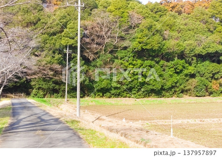 茨城県つくば市牛久沼外周の風景2026年3月 137957897
