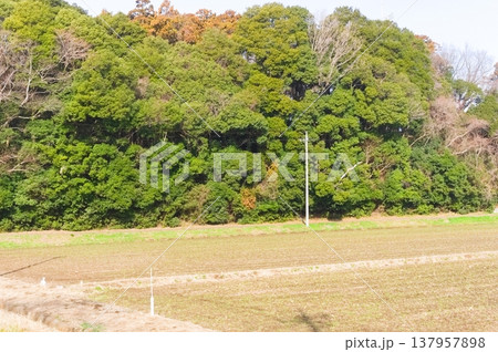 茨城県つくば市牛久沼外周の風景2026年3月 137957898