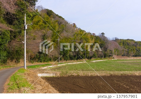 茨城県つくば市牛久沼外周の風景2026年3月 茨城県つくば市牛久沼外周の風景2026年3月 137957901