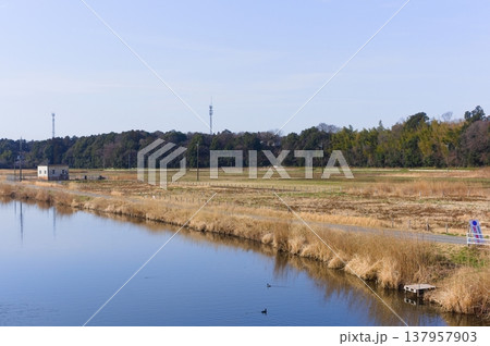 茨城県つくば市牛久沼外周の風景2026年3月 137957903