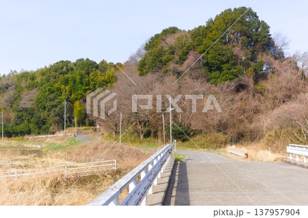 茨城県つくば市牛久沼外周の風景2026年3月 茨城県つくば市牛久沼外周の風景2026年3月 137957904