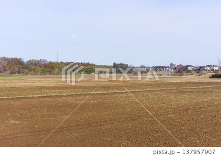 茨城県つくば市牛久沼外周の風景2026年3月 茨城県つくば市牛久沼外周の風景2026年3月 137957907