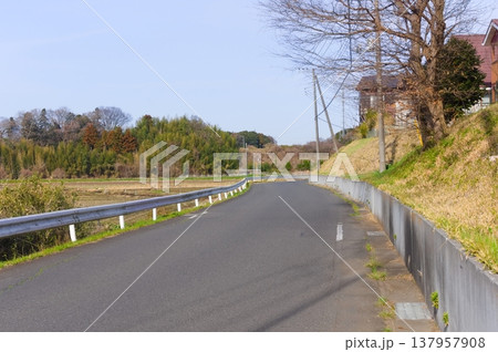 茨城県つくば市牛久沼外周の風景2026年3月 茨城県つくば市牛久沼外周の風景2026年3月 137957908