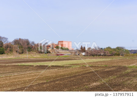 茨城県つくば市牛久沼外周の風景2026年3月 茨城県つくば市牛久沼外周の風景2026年3月 137957911