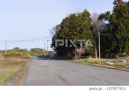 茨城県つくば市牛久沼外周の風景2026年3月 茨城県つくば市牛久沼外周の風景2026年3月 137957912