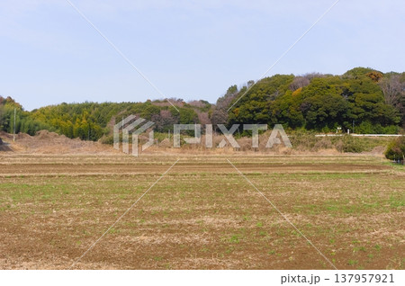 茨城県つくば市牛久沼外周の風景2026年3月 137957921