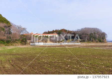 茨城県つくば市牛久沼外周の風景2026年3月 137957923