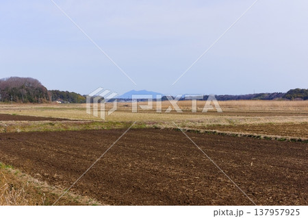 茨城県つくば市牛久沼外周の風景2026年3月 137957925