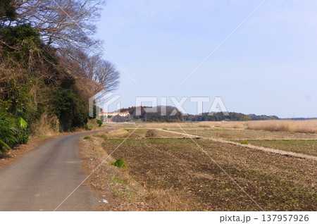 茨城県つくば市牛久沼外周の風景2026年3月 137957926