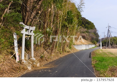 茨城県つくば市牛久沼外周の風景2026年3月 茨城県つくば市牛久沼外周の風景2026年3月 137957928