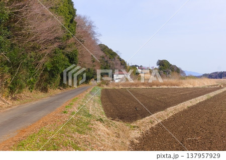 茨城県つくば市牛久沼外周の風景2026年3月 茨城県つくば市牛久沼外周の風景2026年3月 137957929