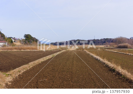 茨城県つくば市牛久沼外周の風景2026年3月 137957930