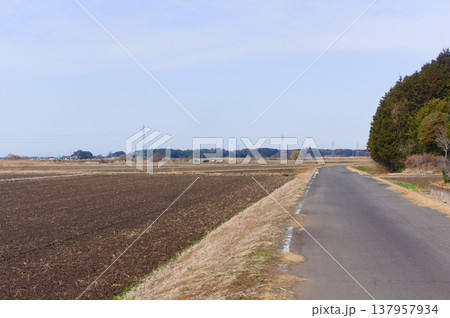 茨城県つくば市牛久沼外周の風景2026年3月 137957934