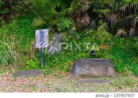 茨城県つくば市牛久沼外周の風景2026年3月 茨城県つくば市牛久沼外周の風景2026年3月 137957937