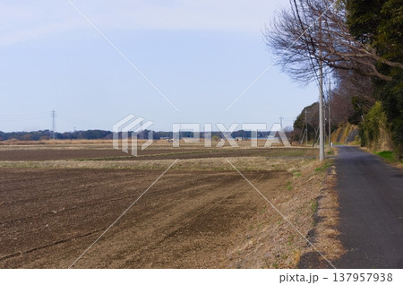 茨城県つくば市牛久沼外周の風景2026年3月 茨城県つくば市牛久沼外周の風景2026年3月 137957938