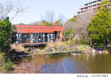 東京都葛飾区水元公園周辺2026年3月 東京都葛飾区水元公園周辺2026年3月 137957961