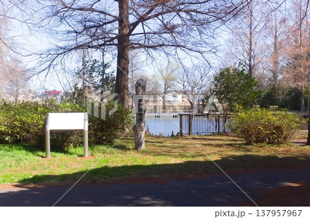 東京都葛飾区水元公園周辺2026年3月 東京都葛飾区水元公園周辺2026年3月 137957967