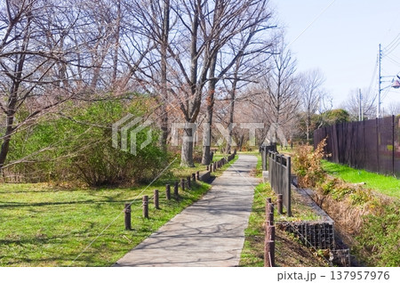 東京都葛飾区水元公園周辺2026年3月 東京都葛飾区水元公園周辺2026年3月 137957976