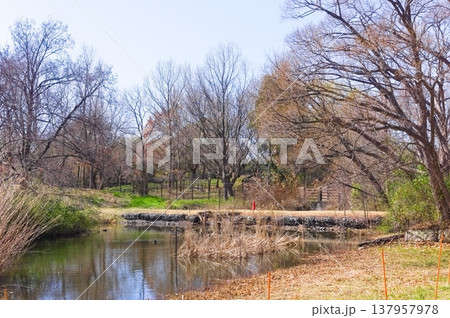 東京都葛飾区水元公園周辺2026年3月 137957978