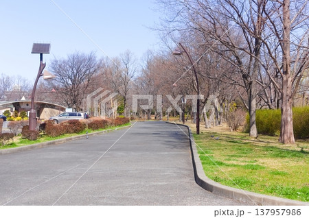 東京都葛飾区水元公園周辺2026年3月 137957986