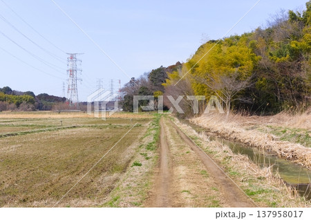 千葉県野田市コウノトリの里周辺2026年3月 千葉県野田市コウノトリの里周辺2026年3月 137958017