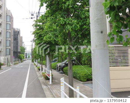 住宅街の道路 137958412