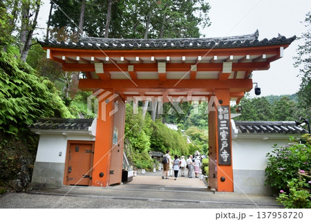京都市宇治の三室戸寺山門 京都市宇治の三室戸寺山門 137958720