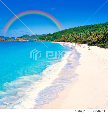 カリブで一番美しいビーチトランクベイの絶景 137958751