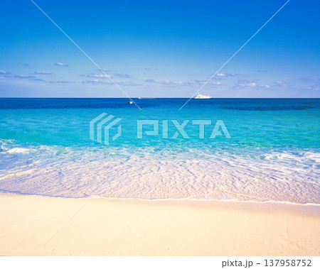 カリブで一番美しいビーチトランクベイの絶景 137958752