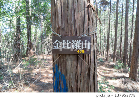 金比羅山の山頂（東京都あきる野市） 137958779