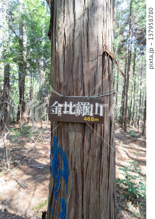 金比羅山の山頂（東京都あきる野市） 137958780