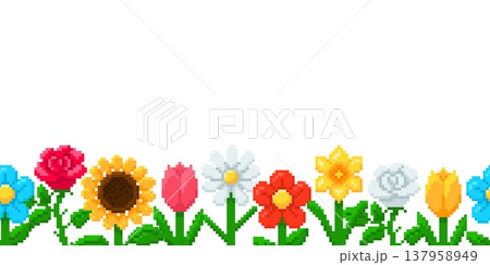 Blooming border of different flowers pixel art, vector retro 8 bit frame sunflower, rose, tulip, chamomile with leaves Blooming border of different flowers pixel art, vector retro 8 bit frame sunflower, rose, tulip, chamomile with leaves 137958949