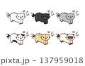 怒って威嚇するいろいろな種類のネコのイラストセット 137959018